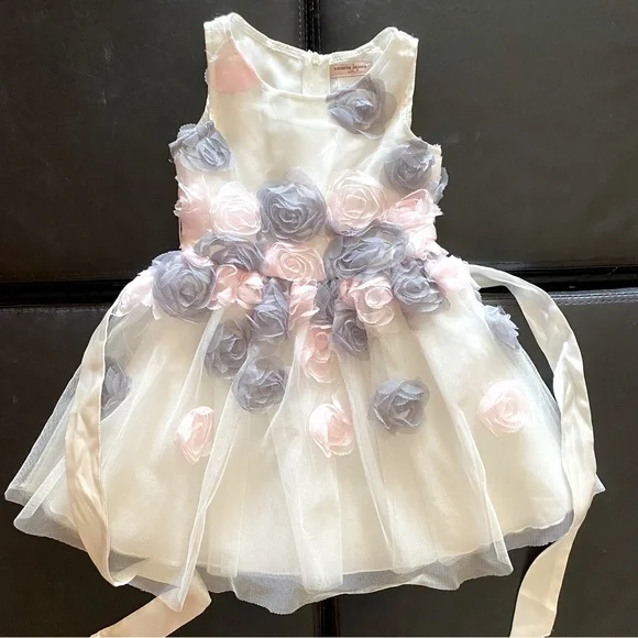 Nanette Lepore | Dresses | Nanette Lepore Mesh 3d Roses Party Birthday Dress  2t | Poshmark